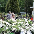 zdjęcie nr 12