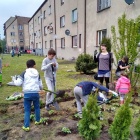 Ogród społeczny na Cynkowej (9)
