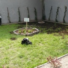 zdjęcie nr 9