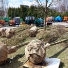 Klony na al. Korfantego (1)