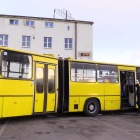 ikarus
