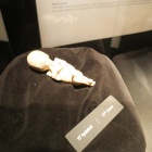 Wystawa Body Worlds Katowice (12)