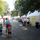festiwal-organizacji-pozarzadowych-1