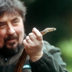 Wąż zbożowy znaleziony w Lesie Murckowskim, fot. Mirosław Wąsiński (1)