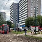 zdjęcie nr 8