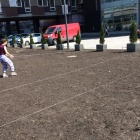 Sianie łąki Katowice (2)