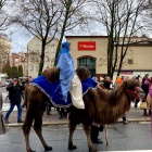 zdjęcie nr 17