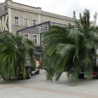 zdjęcie nr 9