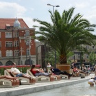 Weekend_palmy_rynek4