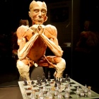 Body World (15)