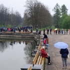 Kolejka do punktu szczepień w Parku Śląskim (3)