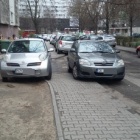 zdjęcie nr 7