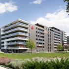 Atal Francuska Park VI (3)