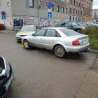 Fotka nr 1 z 7