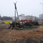 Wycinka kasztanowców przy ul. Raciborskiej (3)