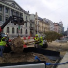 Sadzenie drzew na ul. Warszawskiej w Katowicach (6)