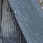 Pożar w Dolinie Trzech Stawów (9)