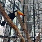 Nowe Egzotarium w Sosnowcu (8)