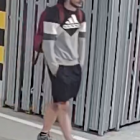 Fotka nr 0 z 2