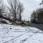 Wycinka drzew pod zbiornik retencyjny (6)