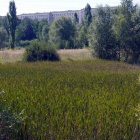 Nowy park w Dąbrówce Małej (1)