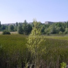 zdjęcie nr 8