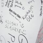 zdjęcie nr 15