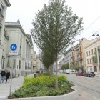 Warszawska w Katowicach po przebudowie (38)