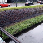 Sadzenie nowych roślin, Rawa (5)