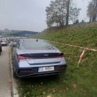 zdjęcie nr 11