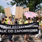 Protest pracowników IW (3)