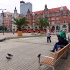 Palmy wróciły na katowicki Rynek (1)