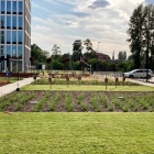 Teren zielony przy biurowcach Face2Face (8)