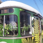 Tramwaj antysmogowy (2)
