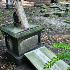 Zniszczenia na cmentarzu żydowskim w Katowicach, got. Sławek Pastuszka (2)