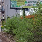 Droga rowerowa wzdłuż ul. Hallera (8)