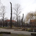 Wycinka pl. Andrzeja