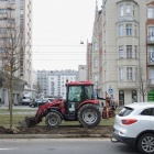 zdjęcie nr 7