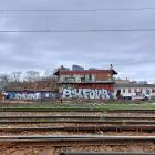 zdjęcie nr 14