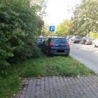 zdjęcie nr 8