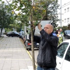 wCOP drzewo_Tomasz Kuczyński