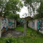 Fotka nr 4 z 12