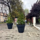 Parkowanie obok WUG (4)