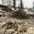 Wycinka drzew pod zbiornik retencyjny (4)