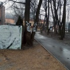 Zdewastowany park w Dąbrówce Małej (5)