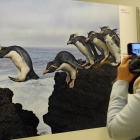 World Press Photo w Muzeum Śląskim (3)