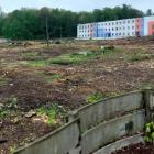 Teren przy ul. Targowej po wycince 1200 drzew.