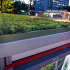 Zielone wiaty AMS (3)