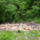 wysypisko chleba (9)