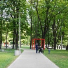 zdjęcie nr 15